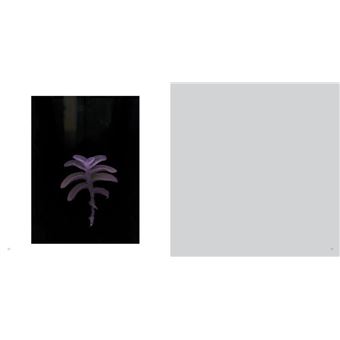 De printemps en printemps