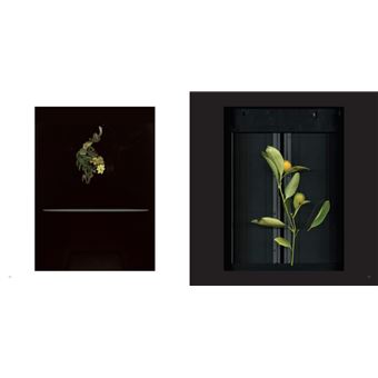 De printemps en printemps