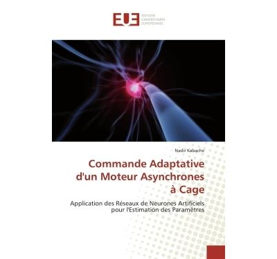 Commande adaptative d''un moteur asynchrones à cage