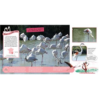 Wild : La vie sauvage