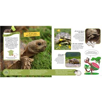 Wild : La vie sauvage