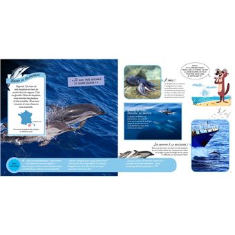 Wild : La vie sauvage