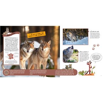 Wild : La vie sauvage