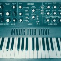 Moog for love
