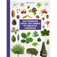 Dictionnaire visuel des arbres et arbustes communs