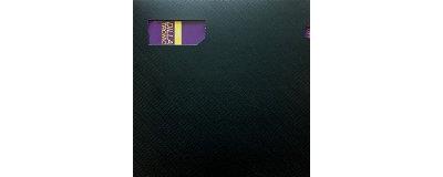 Dillatronic Volume 1