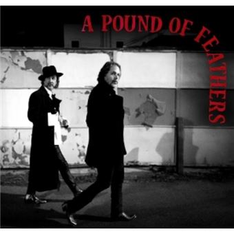 A pound of feathers