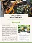 Les plantes médicinales