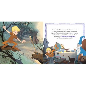 Merlin : l'enchanteur tout-puissant - Collectif - Quelle Histoire - Grand  format - Librairie l'Arbre à lettres PARIS