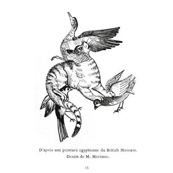 Les chats: Histoire; Moeurs; Observations; Anecdotes