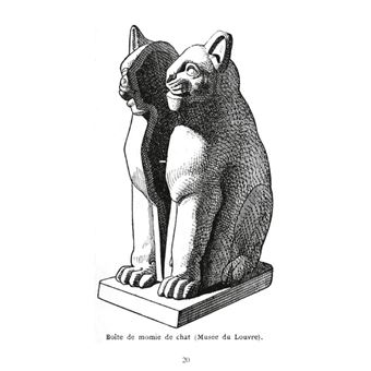 Les chats: Histoire; Moeurs; Observations; Anecdotes