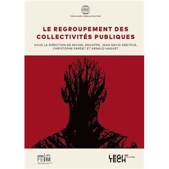 Le regroupement des collectivités publiques