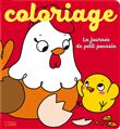Une journée de petit poussin