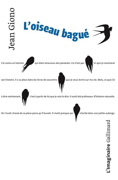 L'oiseau bague