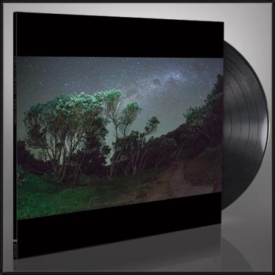 OLDER TERRORS/LP
