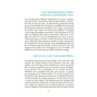 Sauvons les oiseaux ! Les 10 actions pour (ré)agir !
