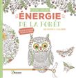 Energie de la forêt