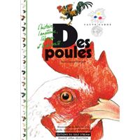 Des poules (NE)