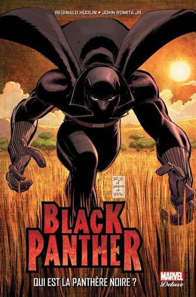 Black Panthère Qui est la panthère noire