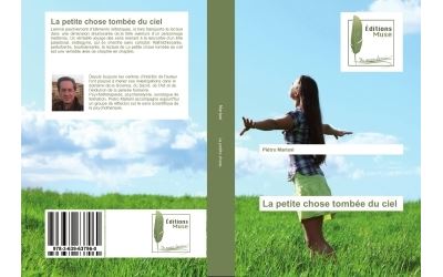 La petite chose tombee du ciel