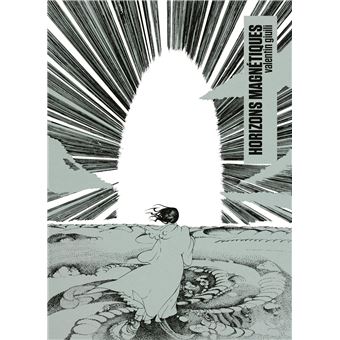 Horizons magnétiques