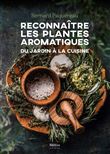 Reconnaître les  plantes aromatiques