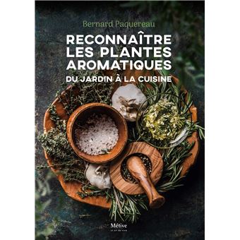 Reconnaître les  plantes aromatiques