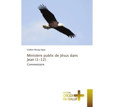 Ministere public de jesus dans jean