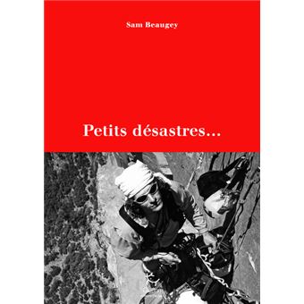 Petits désastres