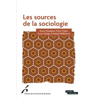 Les sources de la sociologie