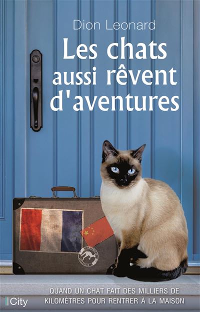 Les chats aussi revent d'aventures