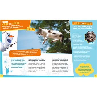 LA REINE DES NEIGES 2 - Les Vrai / Faux avec Olaf - La science avec Olaf en 100 questions ! - Disney