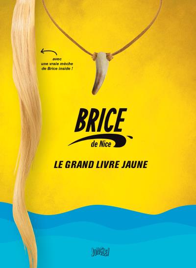 Brice de nice - le grand livre jaune !
