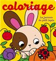 Une journée de petit lapin