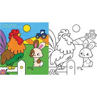 Une journée de petit lapin