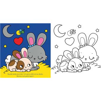 Une journée de petit lapin