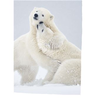 Défis nature   Premières lectures   Un ourson intrépide