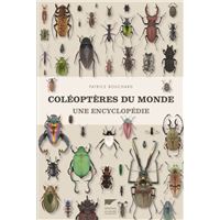 Les insectes - Rois de l'adaptation