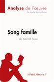 Sang famille de Michel Bussi (Analyse de l'oeuvre)