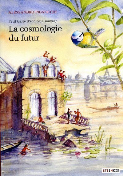Cosmologie du futur