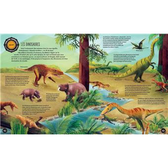 L'histoire de la Terre en 24h chrono