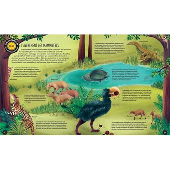 L'histoire de la Terre en 24h chrono