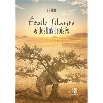 Étoile filante & destins croisés