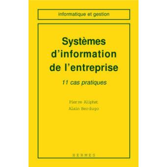 Systèmes informatiques de l'entreprise