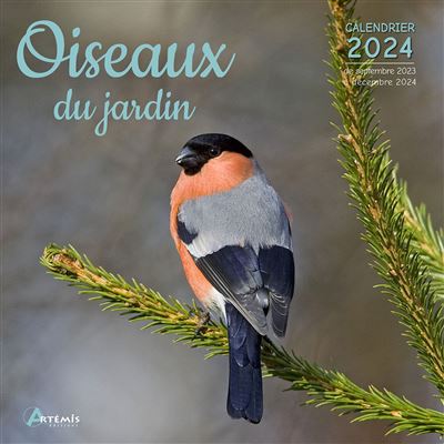 9781525611414 Oiseaux Birds Can Geo 2024 Wall Calendar (French) Wyman  Publishing - Calendar Club