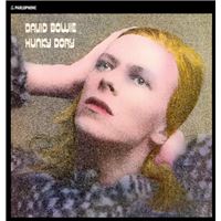 Hunky Dory (Ramstered2015)