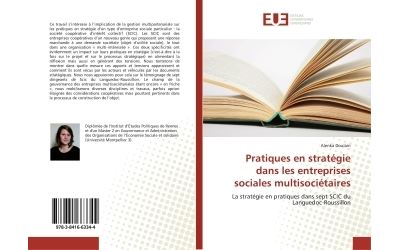 Pratiques en stratégie dans les entreprises sociales multisociétaires