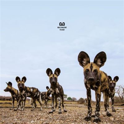 FEVER/LP