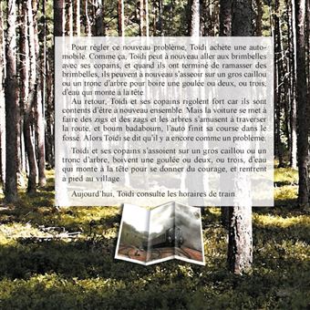 Quelques histoires de toidi