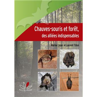 Chauves-souris et forêt